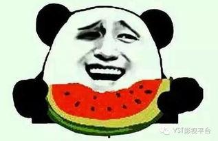 朝阳吃瓜群众一枚的微博 明星黑料,朝阳吃瓜群众曝光明星黑料背后的真相